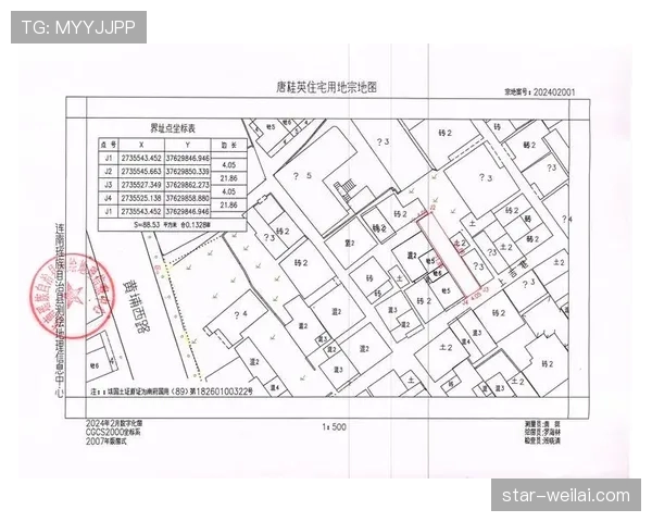 界外判定规则要点：出界标准与掷界权判定